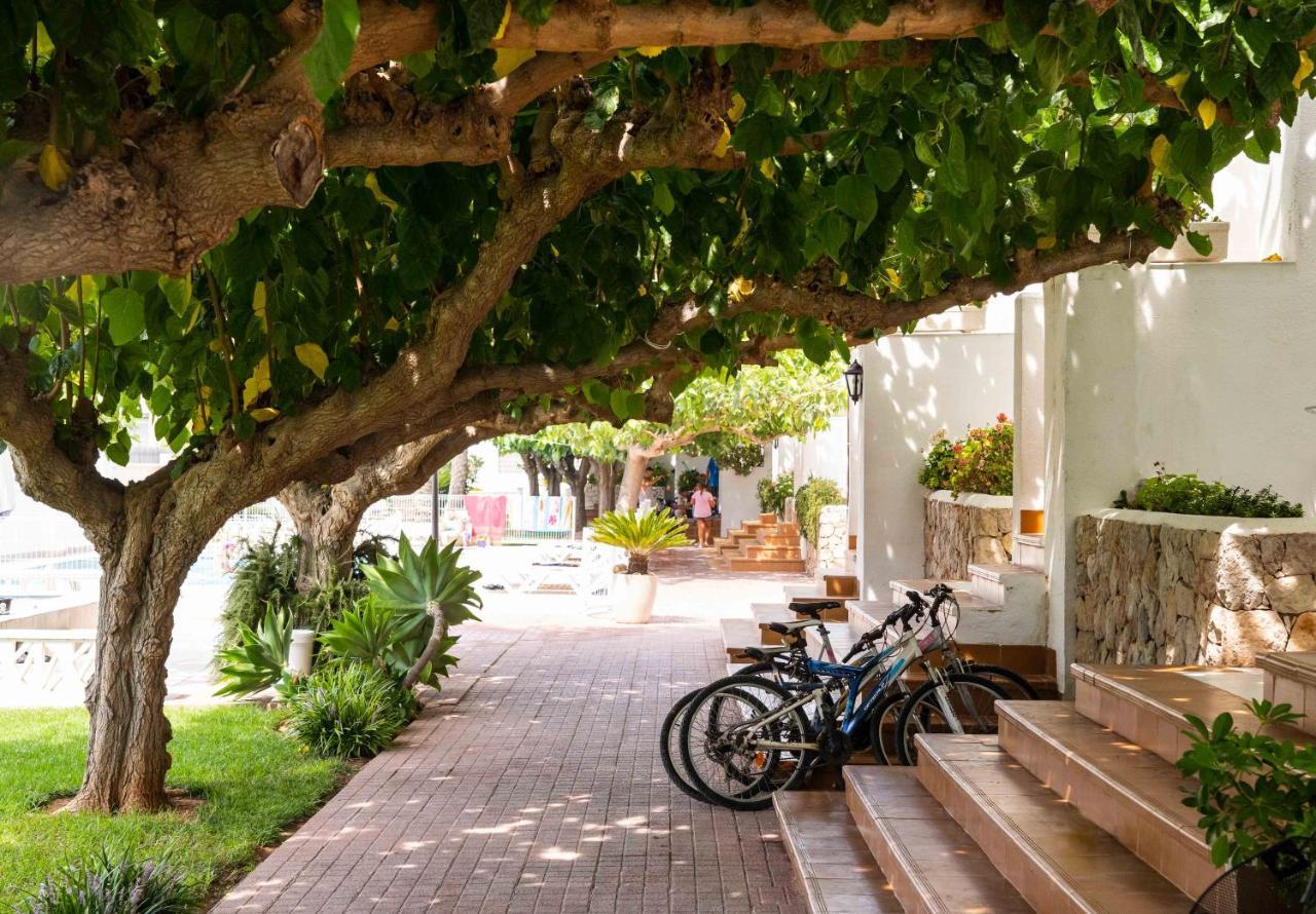 Apartamentos Els Romers Benicarlo-Peñíscola מראה חיצוני תמונה