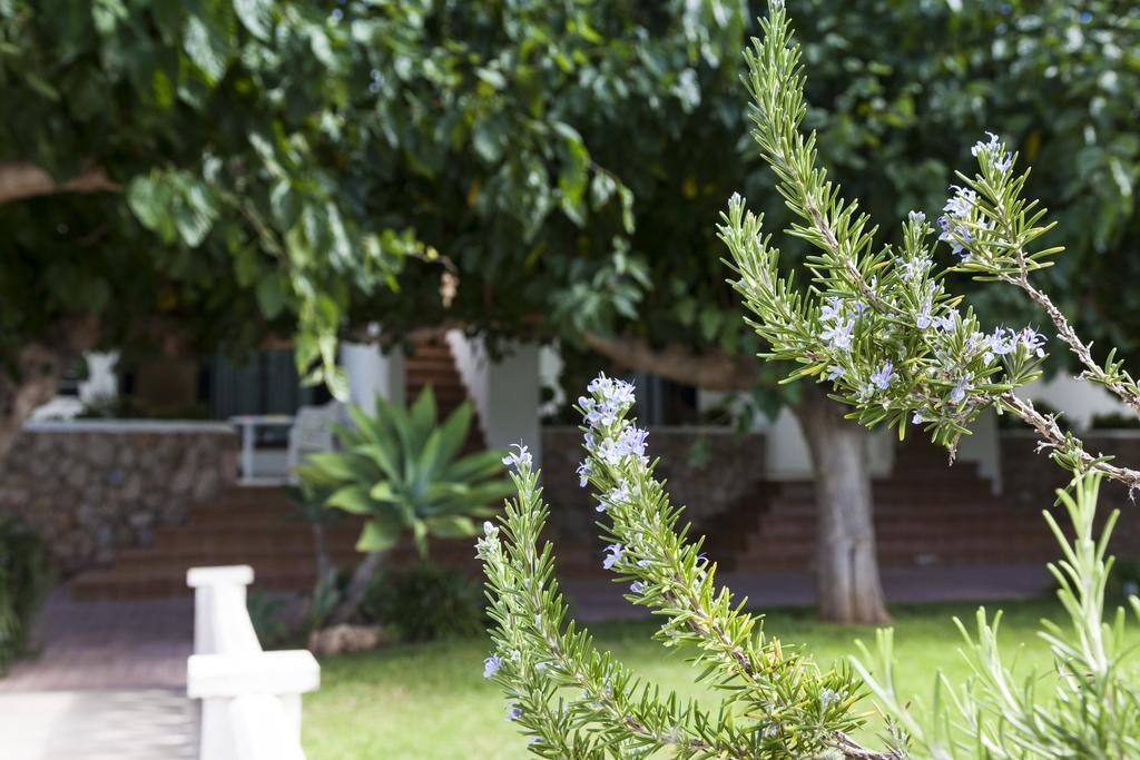 Apartamentos Els Romers Benicarlo-Peñíscola מראה חיצוני תמונה