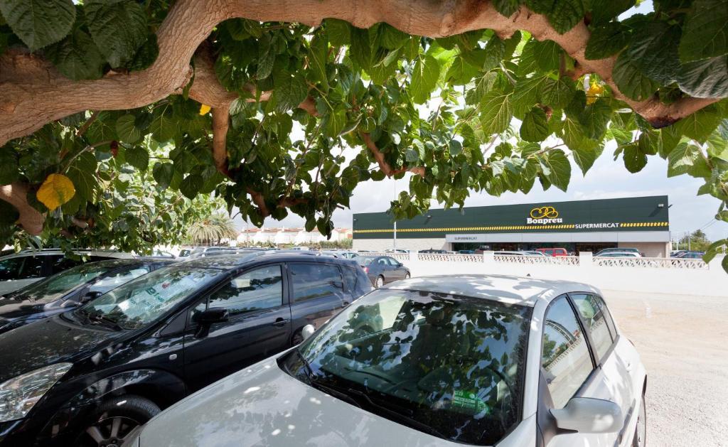 Apartamentos Els Romers Benicarlo-Peñíscola מראה חיצוני תמונה